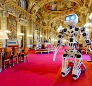 Le robot humanoïde Poppy, au Sénat